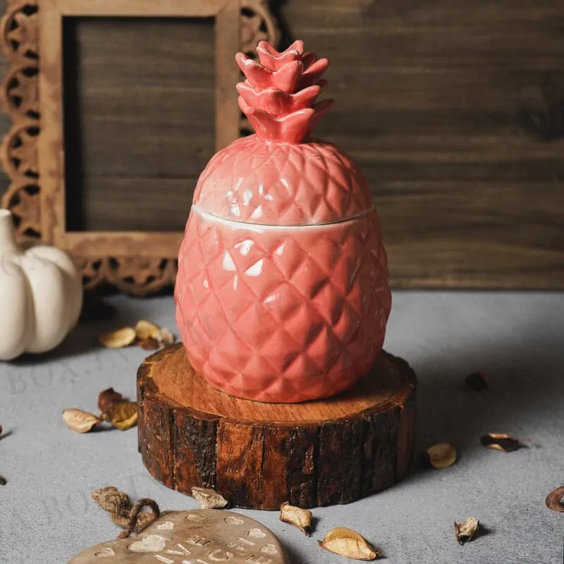 Adorable Kaolinite Ceramic Handcrafted Multipurpose Pineapple Shaped Storage Jar